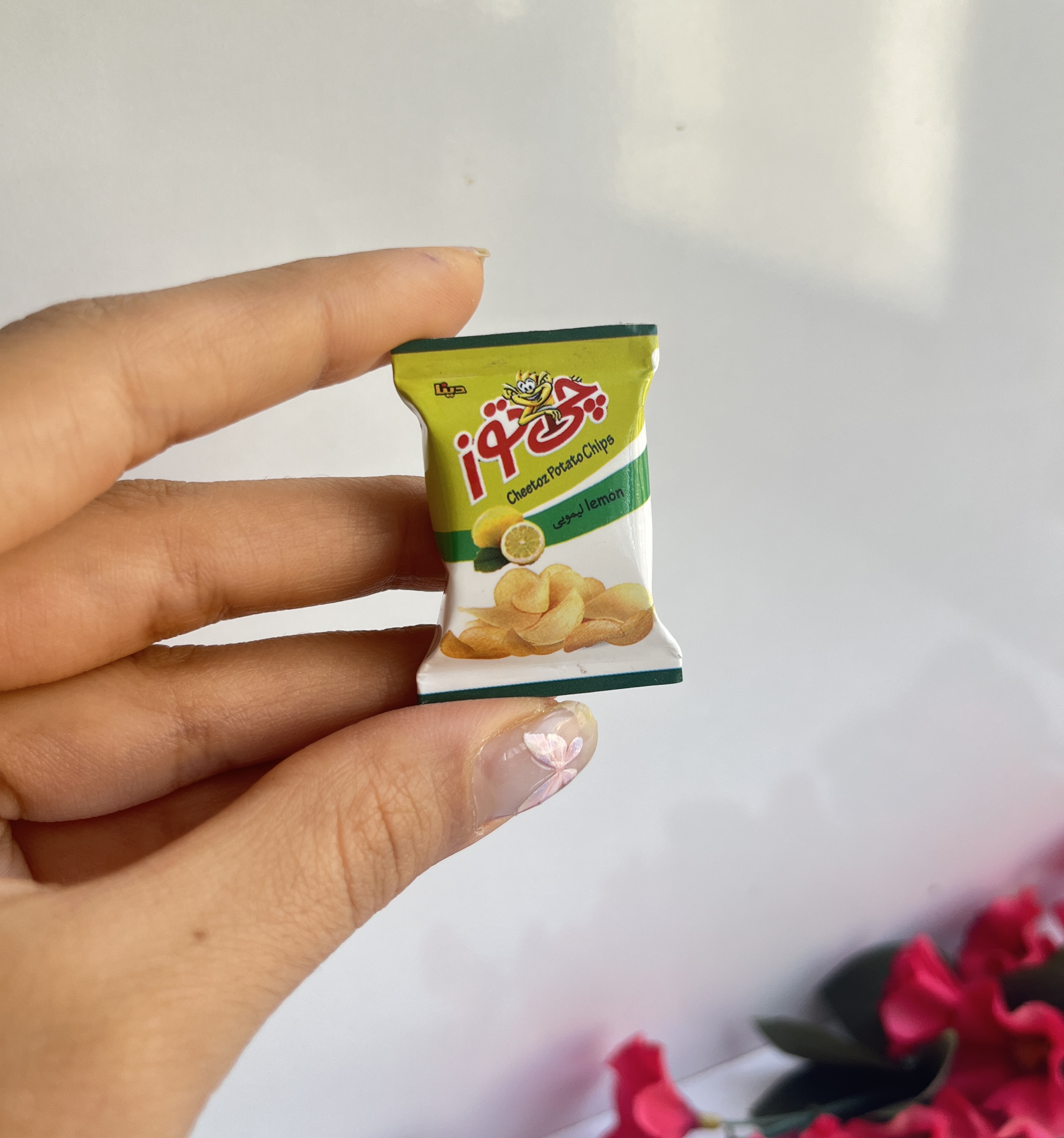 مگنت رو یخچالی چیبس لیمویی(اهنربا مخفی)
